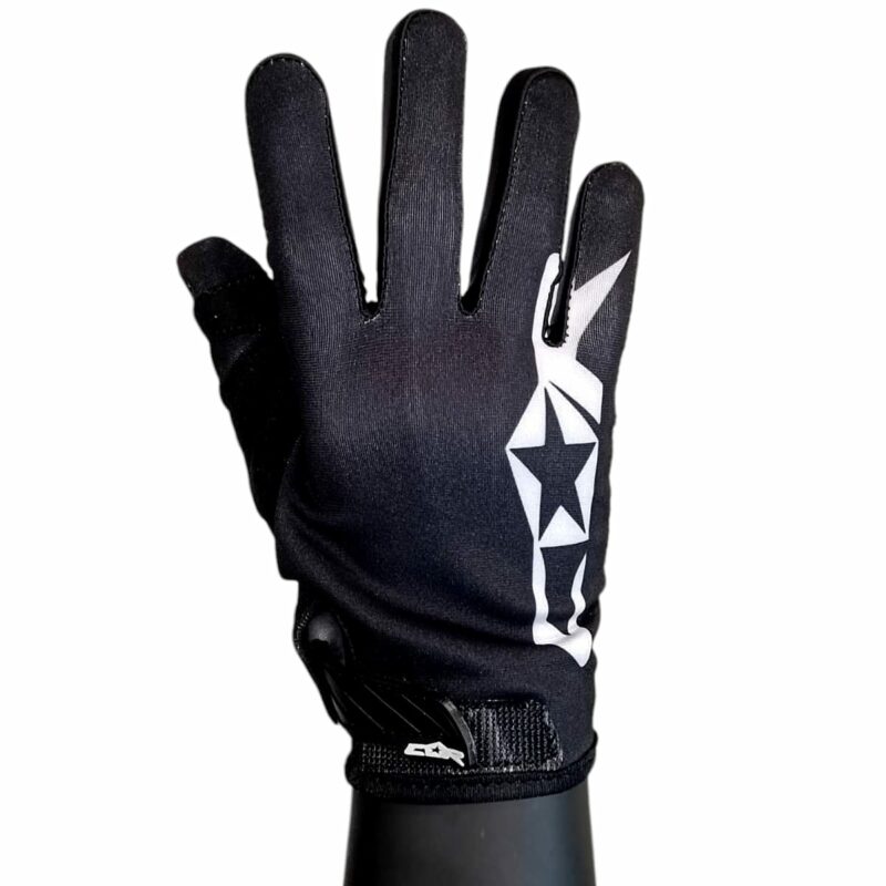 Paire de Gants noir